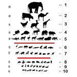 Animal Eye Chart design