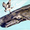Whale Sushi: 15cmx60cm(6nx24in)